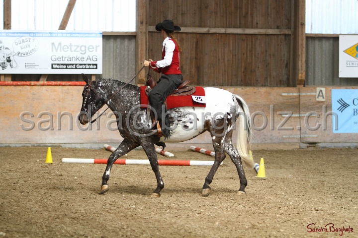 26-ApHC GT_016.jpg